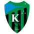 科贾埃利体育